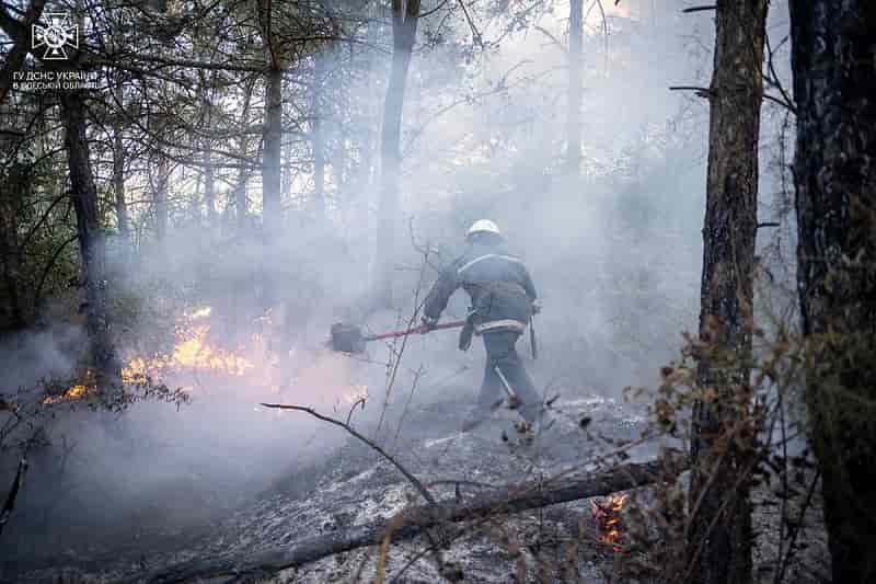 Спасатели тушат лесной пожар