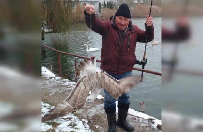 рыбак поймал чайку