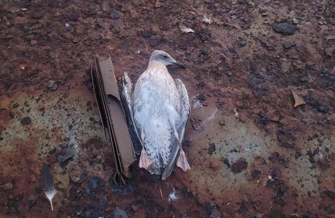 Фото наслідків нічної атаки Одеси.