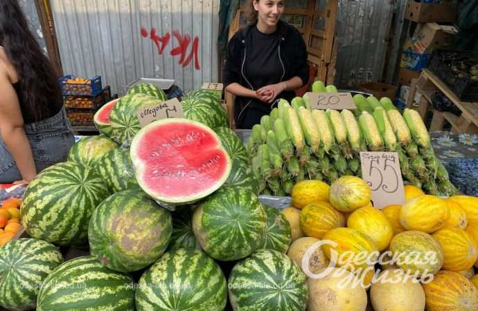 арбузы и дыни