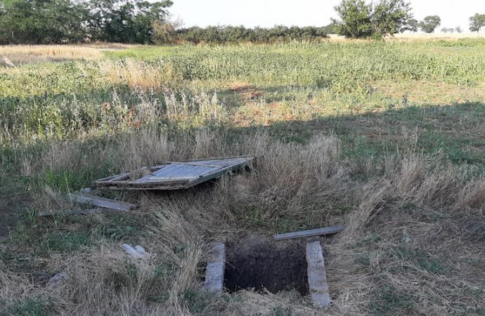 В Одесской области мужчина за полтонны зерна чуть не убил пенсионерку