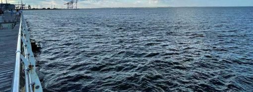 Холеровидные вибрионы и +21°C: в Одессе проверили состояние морской воды