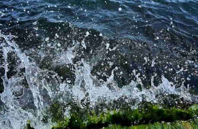 В каком состоянии вода у берегов Одессы – результаты мониторинга