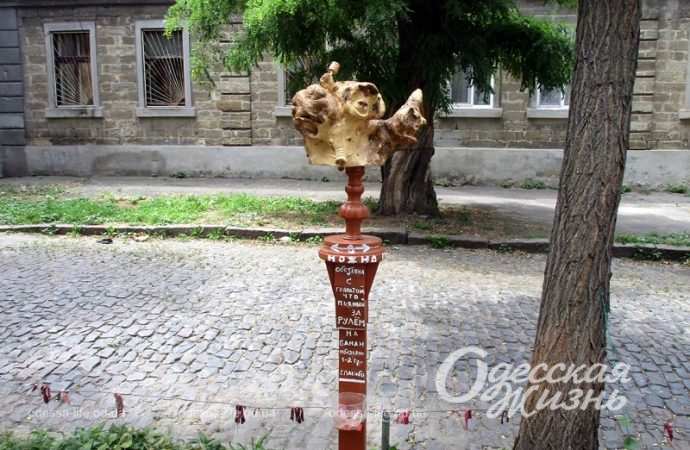 Работы Петра Глебова, обезьяна