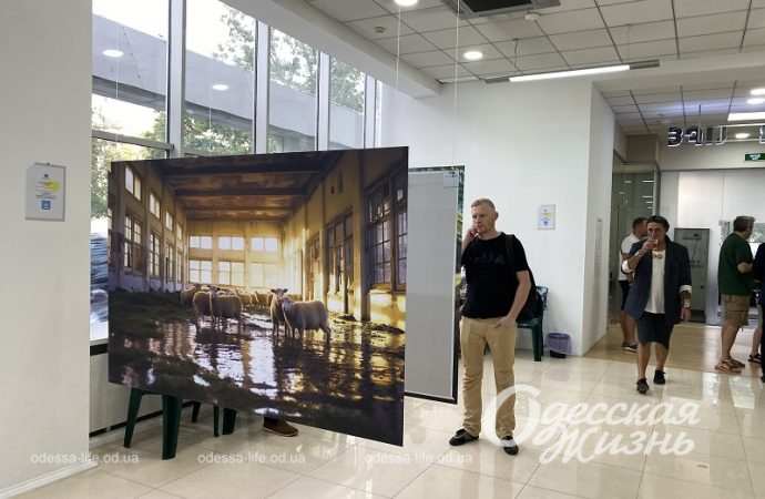 На выставке работ Игоря Гусева