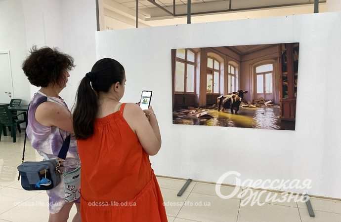 Галерея Незламності7