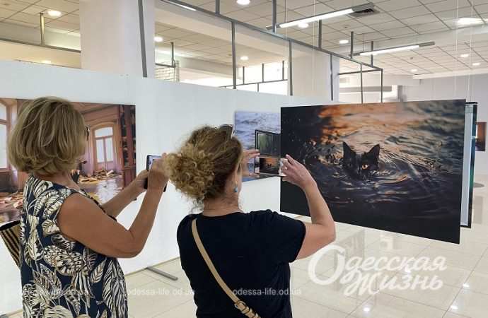 Галерея Незламності6