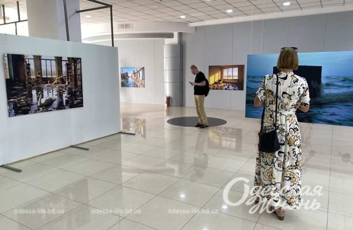 Галерея Незламності5