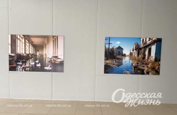 Работы Игоря Гусева6