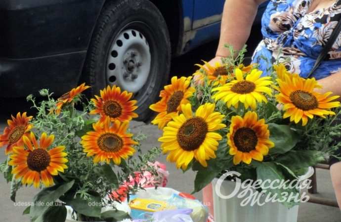 Остання субота літа в Одесі: спека з ознаками осені та війни (фоторепортаж)