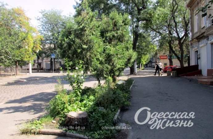 Погода в Одессе в последний день лета: гроза и кратковременные дожди