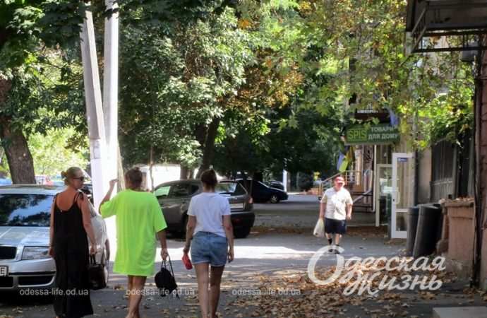 Погода в Одессе 29 августа: снова становится жарче