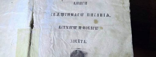 “Большие головы” и старинная Библия: в Одесской области обнаружили ценные раритеты