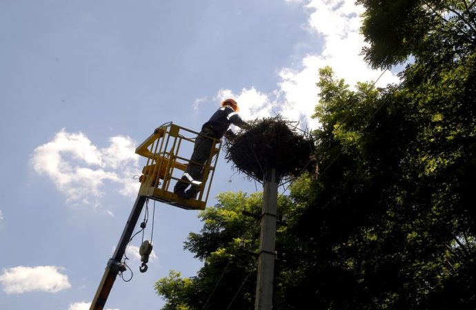 Зачем энергетики «вьют» гнезда на севере Одесщины