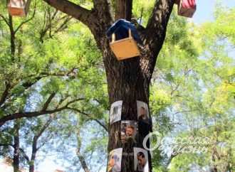 Дивне дерево і чарівна куля: сім миттєвостей одеського тижня в фото