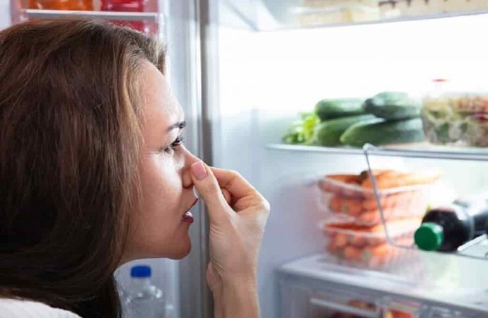 Неприятный запах из холодильника: как избавиться
