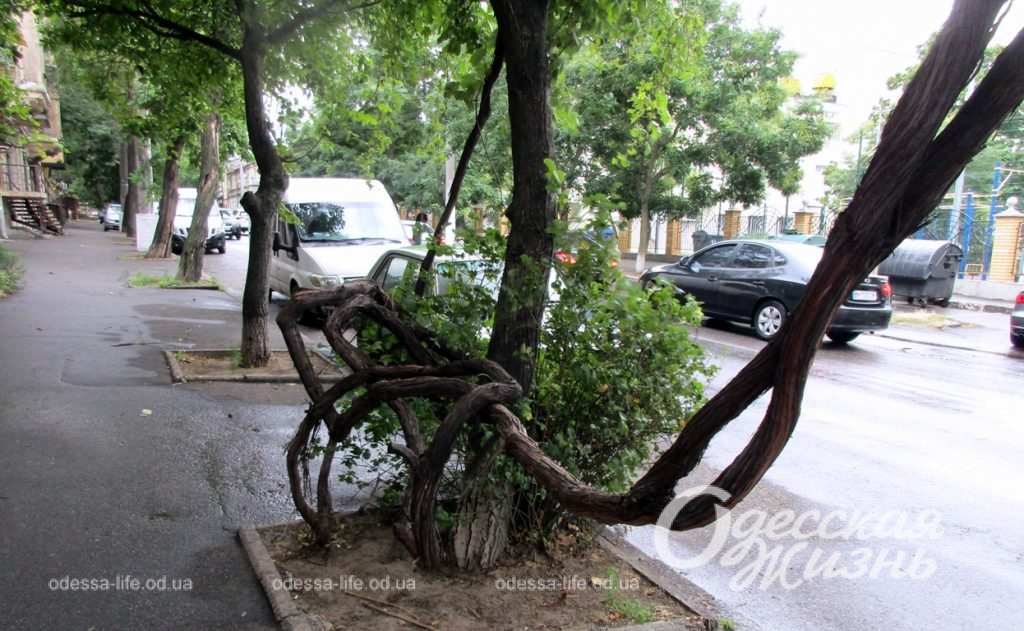 дождь в одессе летом