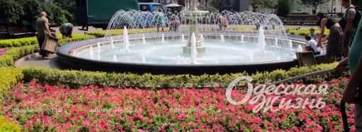 Что произошло с цветами у фонтана в одесском Горсаду? (фотофакт)