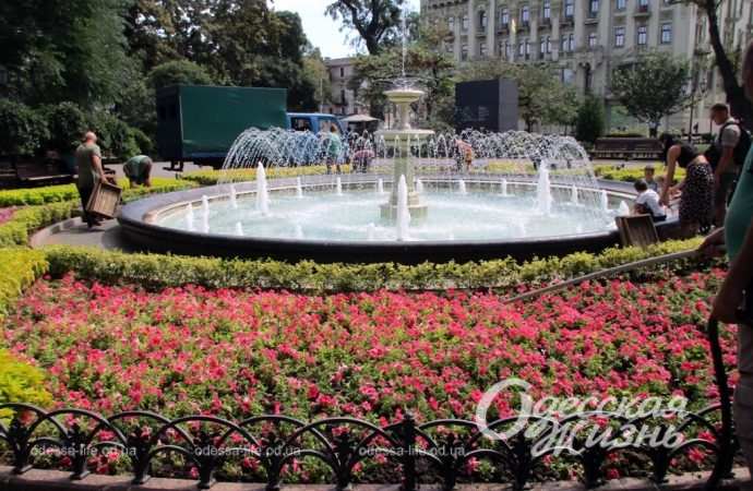 Що сталося з квітами біля фонтану в одеському Міському саду? (фотофакт)