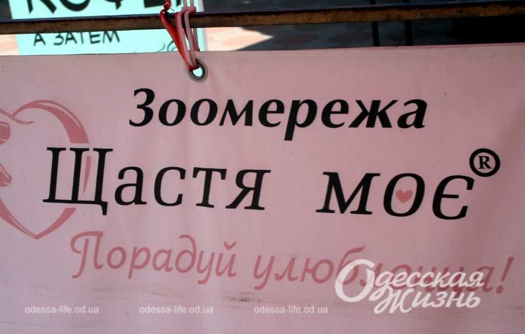 новый рынок одесса