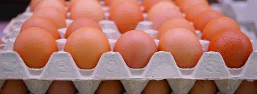 Свежие ли яйца: как это узнать в магазине и дома