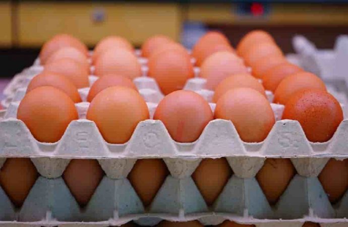 Чи свіжі яйця: як це дізнатися в магазині та вдома