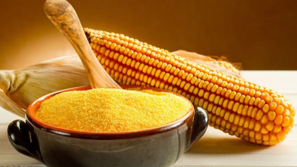 Кукурузная каша — польза и вред вкусного блюда