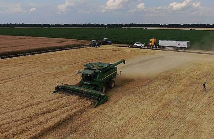 Одесщина первой в Украине закончила сбор урожая ранних зерновых