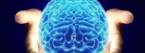 Открытия в области работы мозга помогут вылечить болезнь Альцгеймера