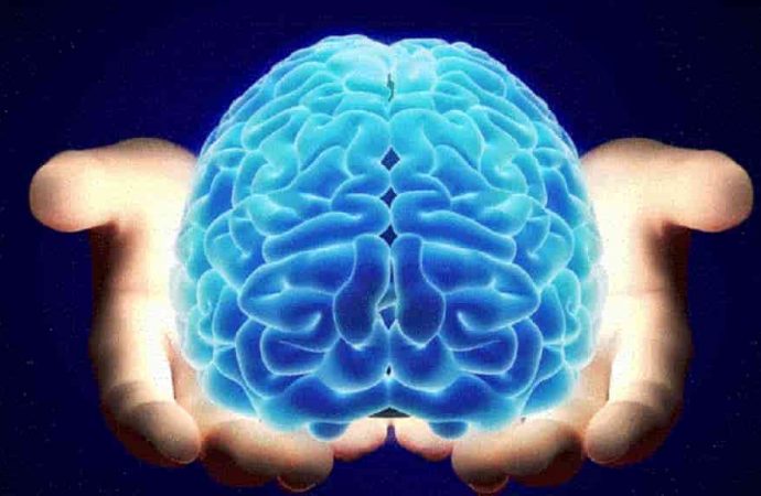Відкриття в галузі роботи мозку допоможуть вилікувати хворобу Альцгеймера