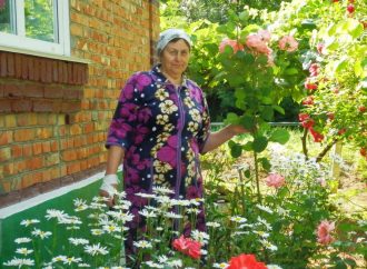 Цветочница из Пирожной сделала в своем дворе настоящий трояндовый оазис