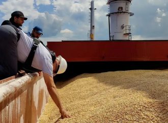 Почти половина зернотрейдеров в Одесской области работает в «тени»