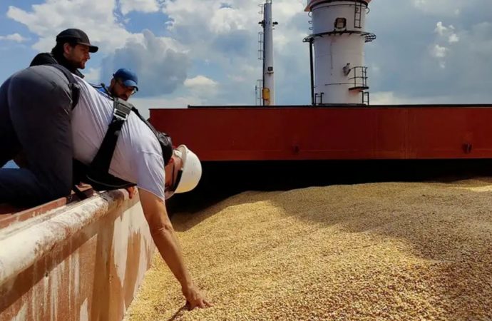 Почти половина зернотрейдеров в Одесской области работает в «тени»