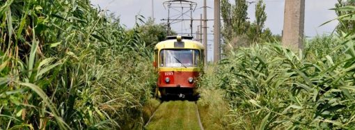 Конечная остановка “камышового” трамвая может стать туристической жемчужиной Одессы