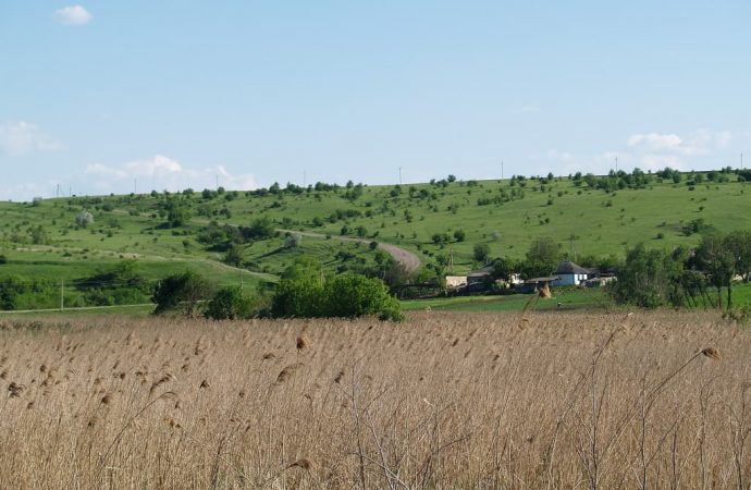 село Кричунове
