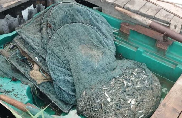 Браконьер под Одессой наловил рыбы более чем на 400 тысяч гривен