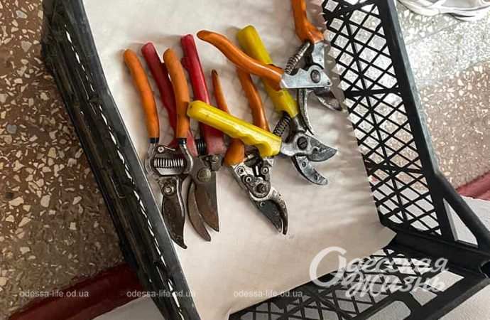 збори врожа