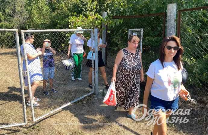 збори врожаю