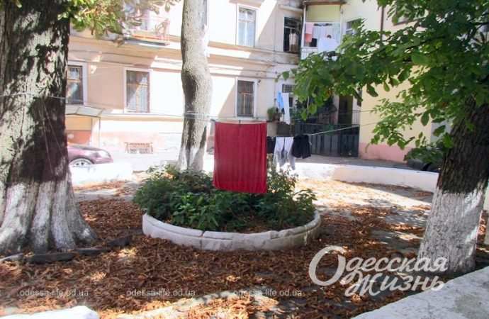 Одесский "дом-сквозняк", клумба