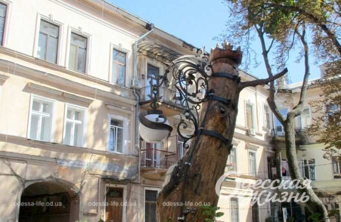 Одесский "дом-сквозняк", дерево-фонарь