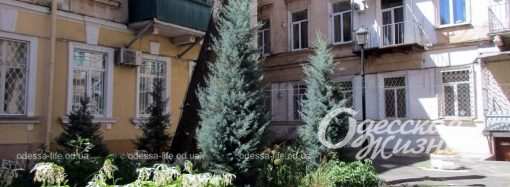 Одесский загадочный дом: два адреса, три двора