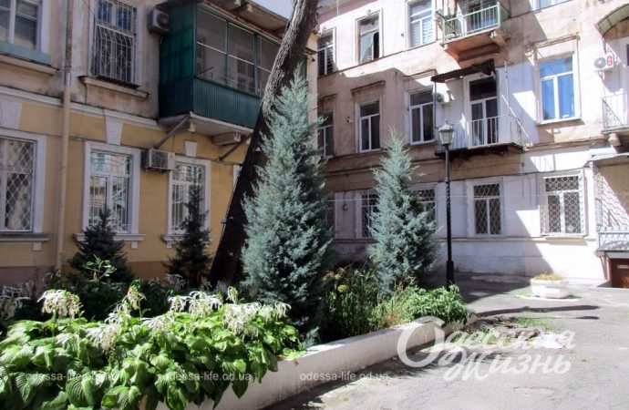 Одесский загадочный дом: два адреса, три двора