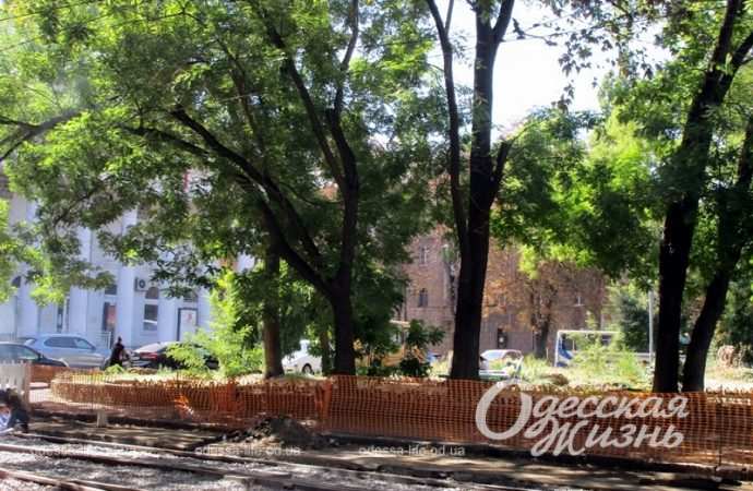 Ремонтные работы, деревья