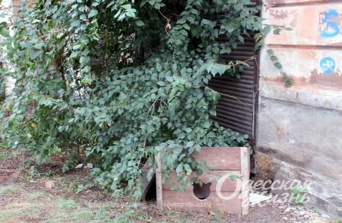 Бульвар Жванецкого