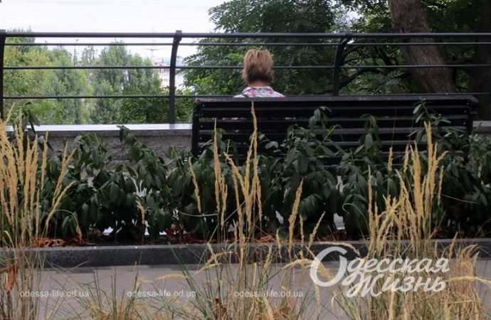 Бульвар Жванецкого