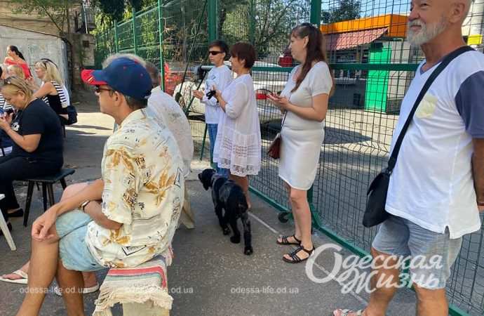 День двора. Сущенко