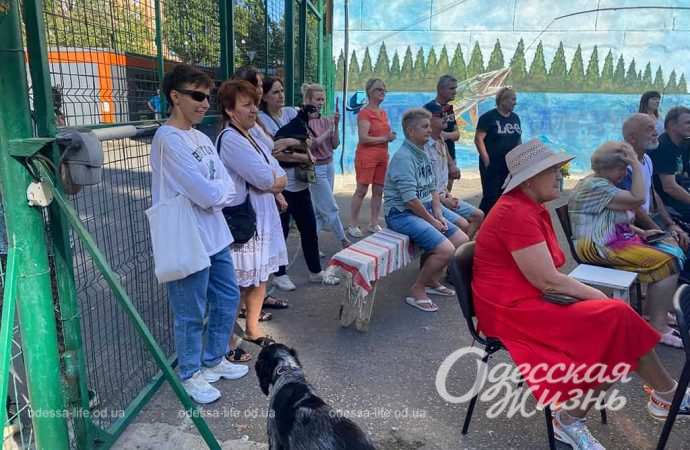 День двора. Сущенко