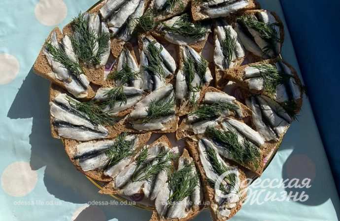 День двора. Сущенко