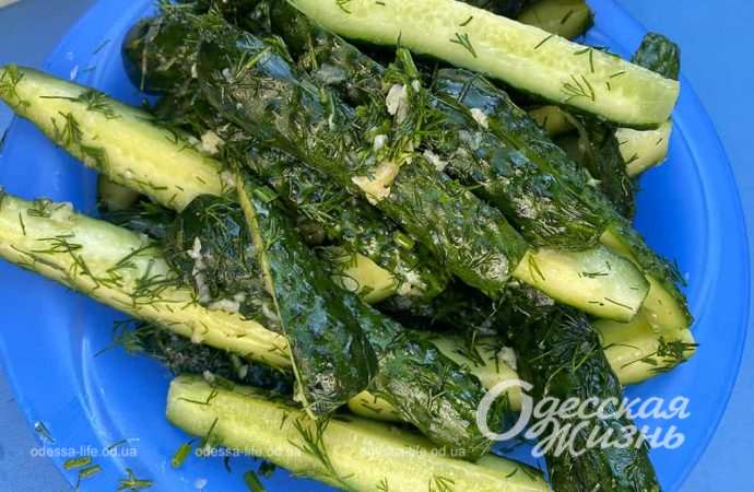 День двора. Сущенко