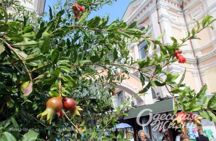 Погода в Одессе 18 сентября: чего ждать от понедельника